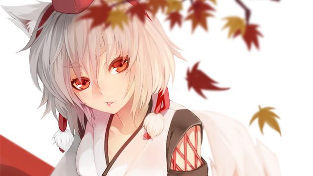 手机扫码安装91免费观看视频网站
