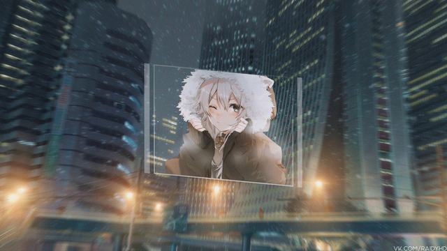 三万平方米的江边“猫国”:600余只流浪猫的避风港与新生