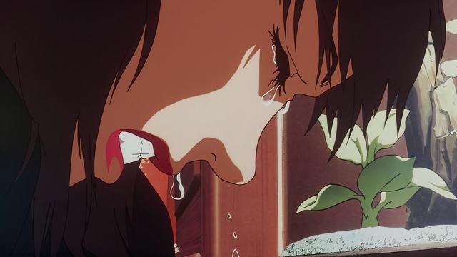 以色列没给美国面子 决裂态度坚决